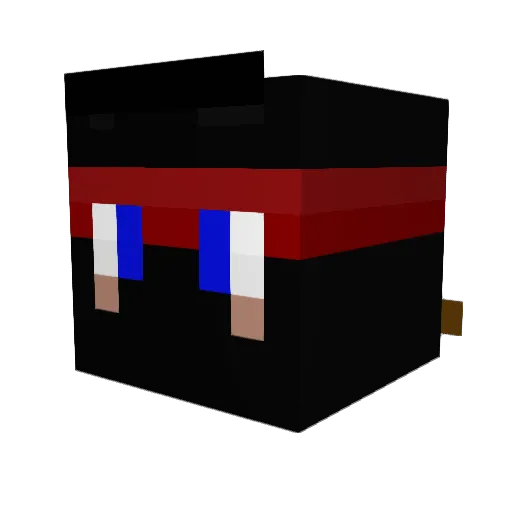 SUPERBUILDER888 Minecraft avatar head, 3D render