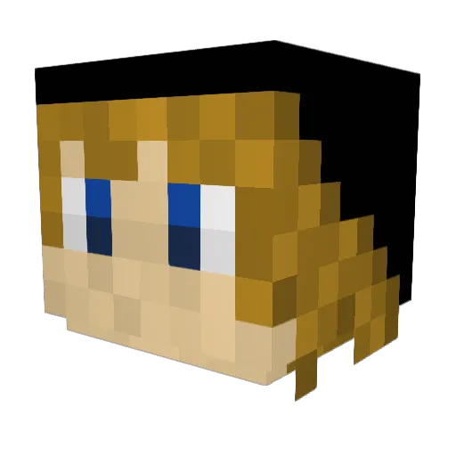 SUPERFISH2018 Minecraft avatar head, 3D render