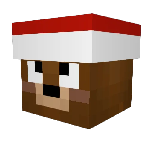 SUPERMAN1395 Minecraft avatar head, 3D render