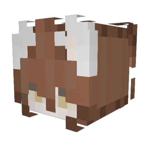 SUPERMATTIA21 Minecraft avatar head, 3D render