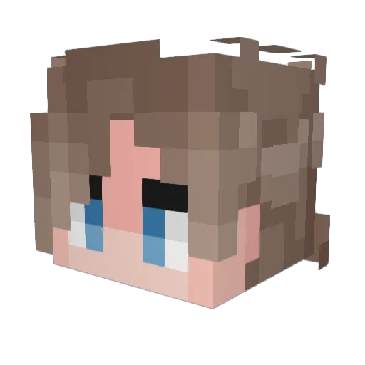 SUPERZAYAYIN Minecraft avatar head, 3D render