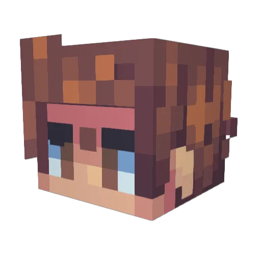 SUP_AIR_MAX Minecraft avatar head, 3D render