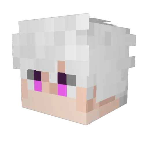 SUQQZS1 Minecraft avatar head, 3D render