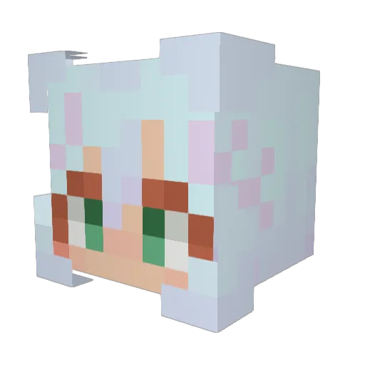 SURFONSMILE Minecraft avatar head, 3D render
