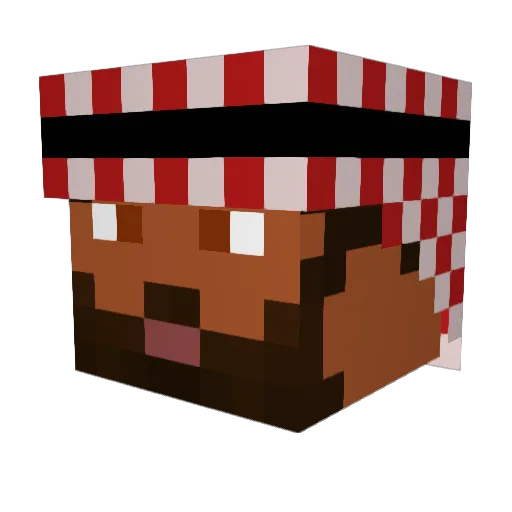 SUSBOY5 Minecraft avatar head, 3D render