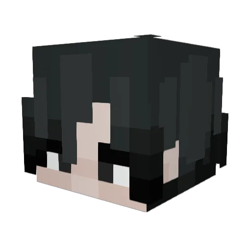 SUSKID690 Minecraft avatar head, 3D render