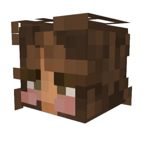 SUZ4NNE Minecraft avatar head, 3D render