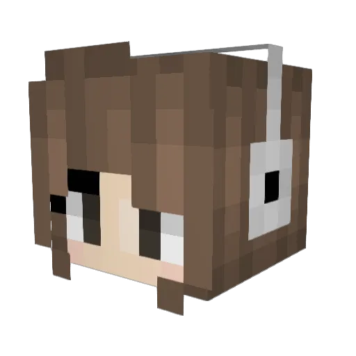 SUooGA Minecraft avatar head, 3D render