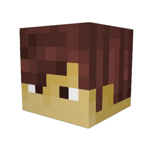 SVW15 Minecraft avatar head, 3D render