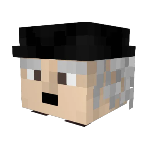 SVW2 Minecraft avatar head, 3D render