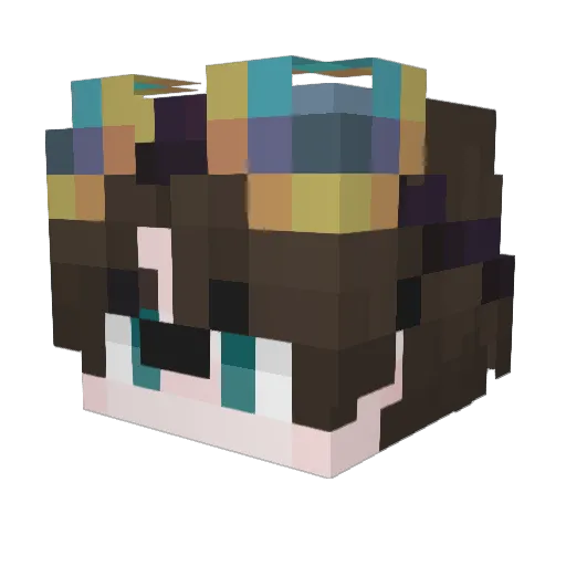 SVansverse Minecraft avatar head, 3D render