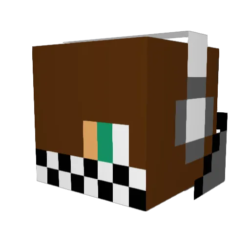 SWAGBEAST195 Minecraft avatar head, 3D render