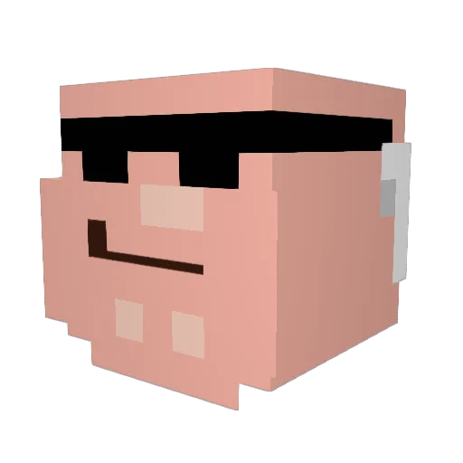 SWAGISFOREVERR Minecraft avatar head, 3D render