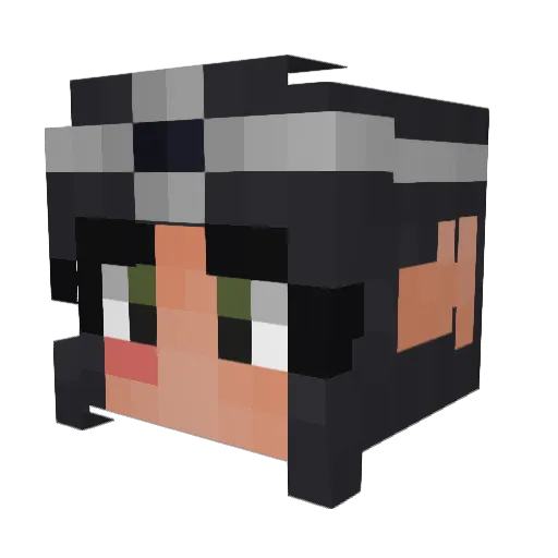 SWAGLORD69696969 Minecraft avatar head, 3D render