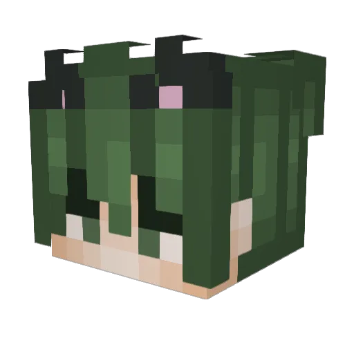 SWAGYSWAGSTER Minecraft avatar head, 3D render