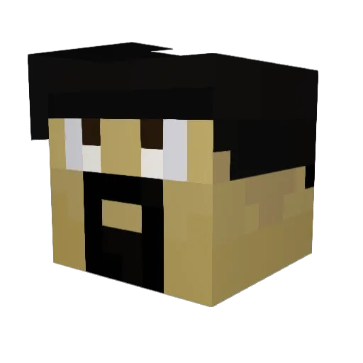 SWAOTC Minecraft avatar head, 3D render
