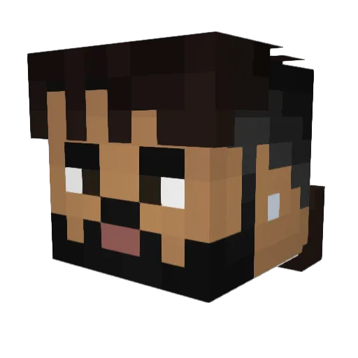 SWBSNOOP Minecraft avatar head, 3D render