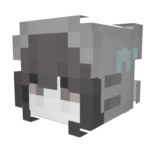 SWE121 Minecraft avatar head, 3D render