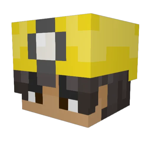 SWEATY_BOI7074 Minecraft avatar head, 3D render