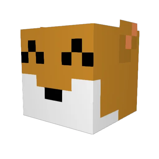 SWIFTFOX17 Minecraft avatar head, 3D render