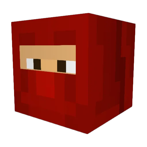 SWINE7576 Minecraft avatar head, 3D render