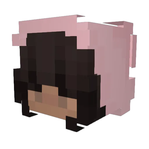 SWJ12 Minecraft avatar head, 3D render