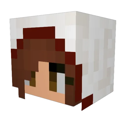 SWKTGSHE Minecraft avatar head, 3D render