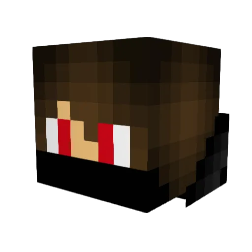 SWMOO Minecraft avatar head, 3D render