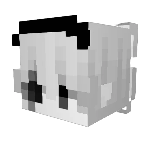 SWRCPA Minecraft avatar head, 3D render