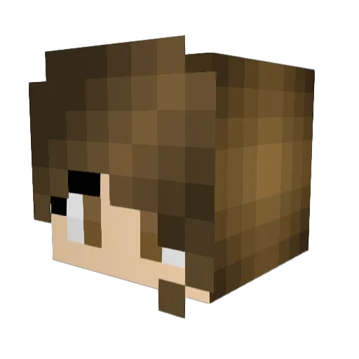 SWS710 Minecraft avatar head, 3D render