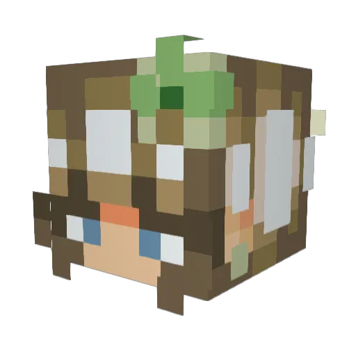 SWimmyFanz226 Minecraft avatar head, 3D render