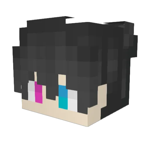 SWnoob Minecraft avatar head, 3D render