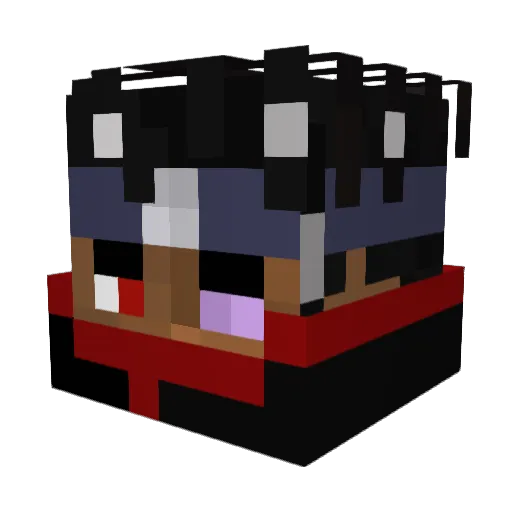 SXRRSXRR Minecraft avatar head, 3D render