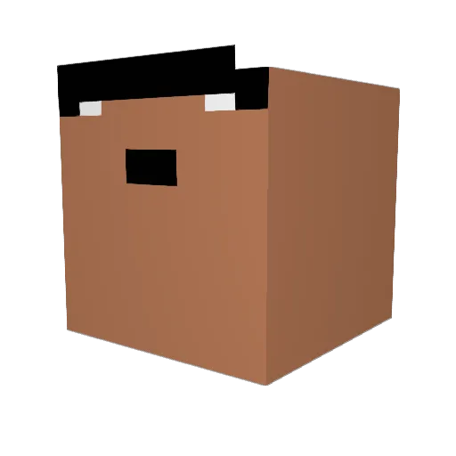 SYFBAUN Minecraft avatar head, 3D render