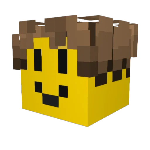 SYJ_0402 Minecraft avatar head, 3D render