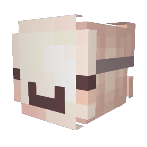 SYNOVIUS Minecraft avatar head, 3D render