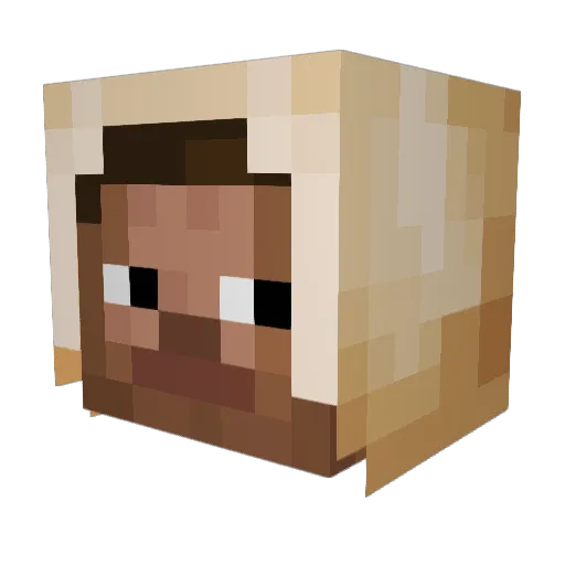 SY_Bot2 Minecraft avatar head, 3D render