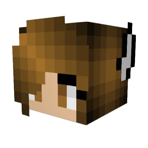 SY_Star Minecraft avatar head, 3D render