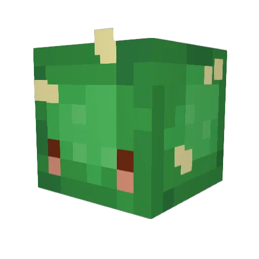 SZAMOT_TOMASZ Minecraft avatar head, 3D render