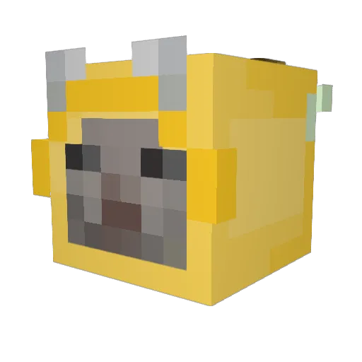 SZEFPL Minecraft avatar head, 3D render