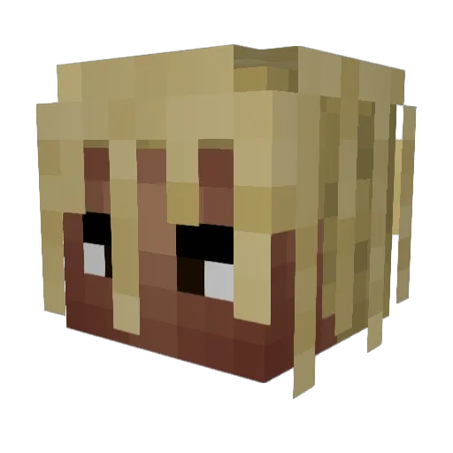 S_0LACE Minecraft avatar head, 3D render