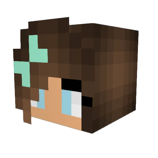S_A_G_S Minecraft avatar head, 3D render