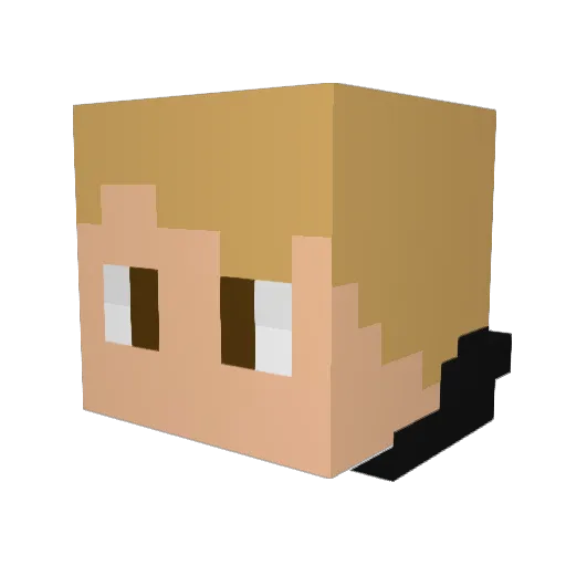 S_Chapstick Minecraft avatar head, 3D render