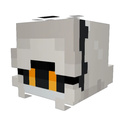 S_Designation_Y Minecraft avatar head, 3D render