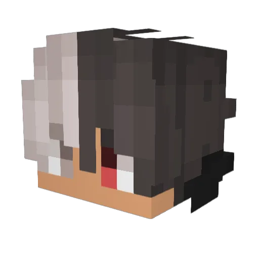 S_FLeX Minecraft avatar head, 3D render