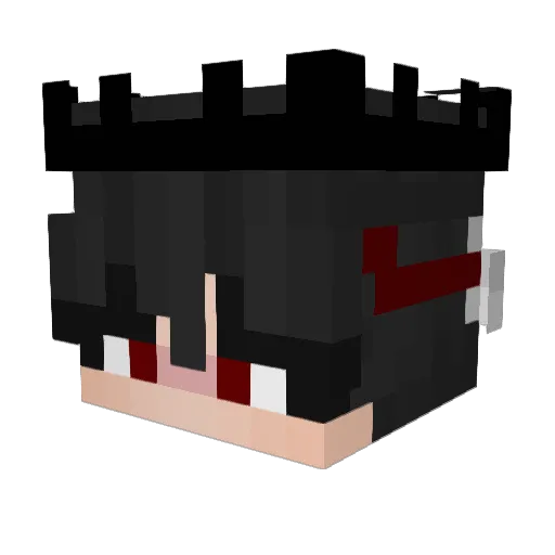 S_H_A_N_G Minecraft avatar head, 3D render
