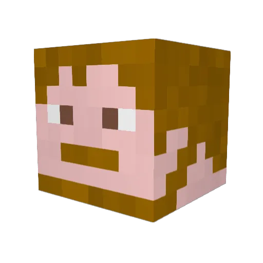 S_Leumas Minecraft avatar head, 3D render