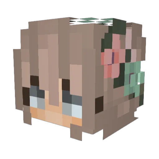 S_N_U_F_F_I Minecraft avatar head, 3D render