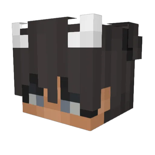 S_Nguyen Minecraft avatar head, 3D render