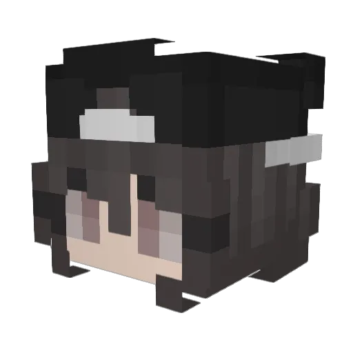 S_O_U_P__ Minecraft avatar head, 3D render